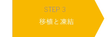 STEP3 移植と凍結